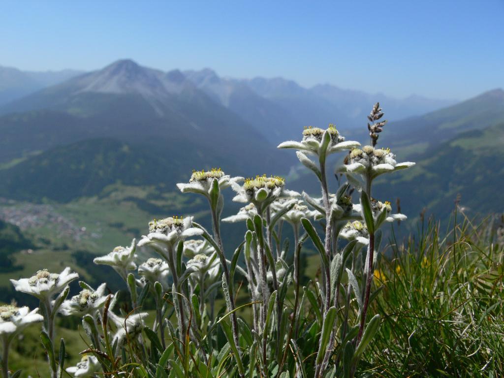 Отель Alpengasthof Norbertshoehe Superior Наудерс Экстерьер фото