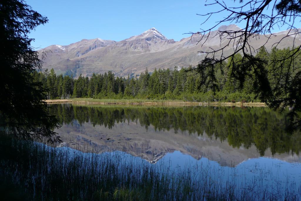 Отель Alpengasthof Norbertshoehe Superior Наудерс Экстерьер фото